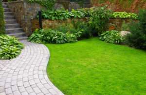 Garden stone path with grass growing up between the stones