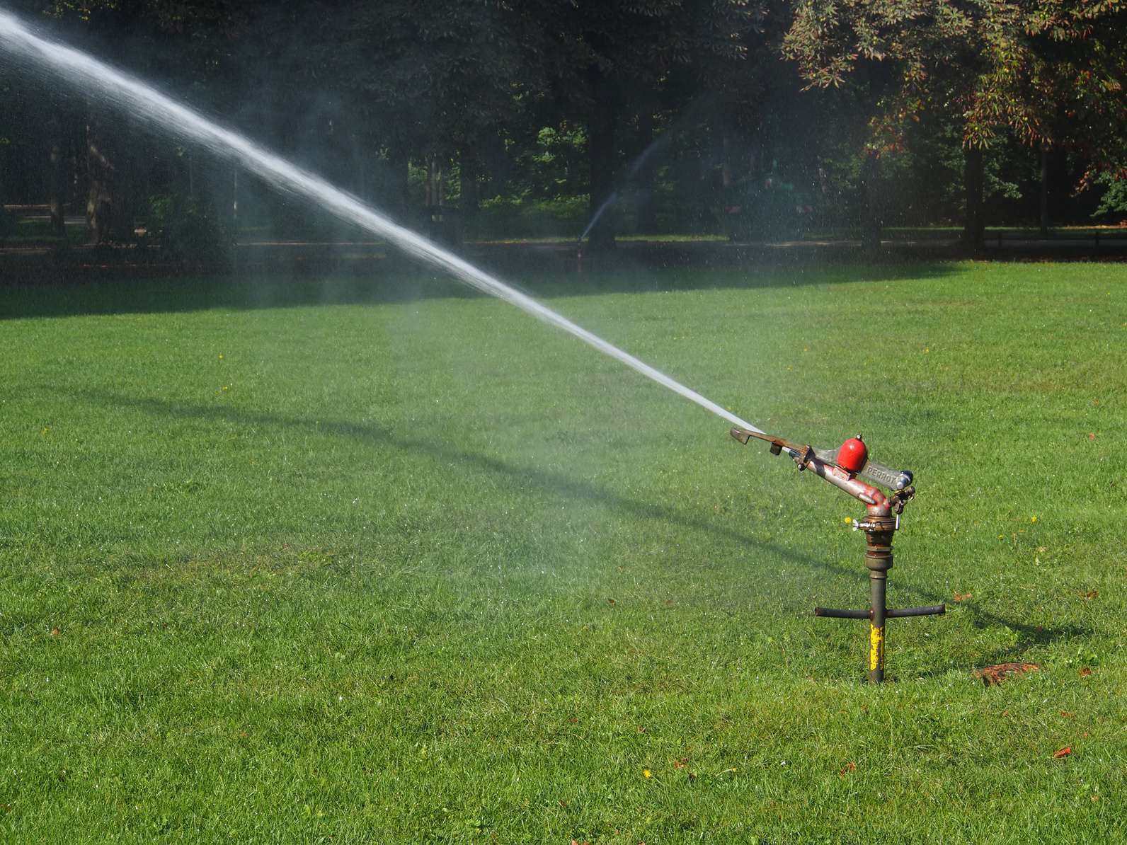 Rasenbewässerung mit dem Rasensprenger