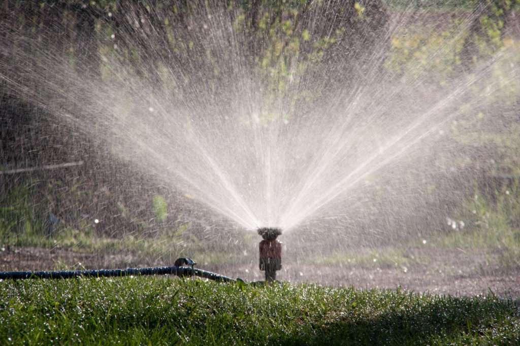Rasenbewässerung mit dem Rasensprenger