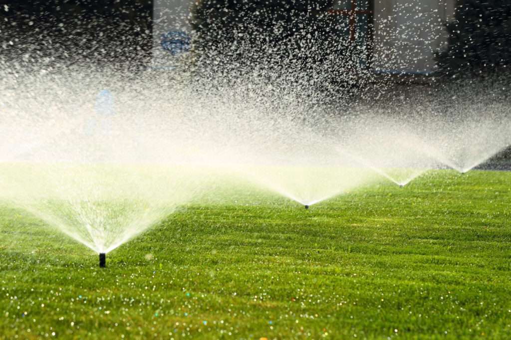 garden sprinkler on a sunny summer day during watering the green lawn