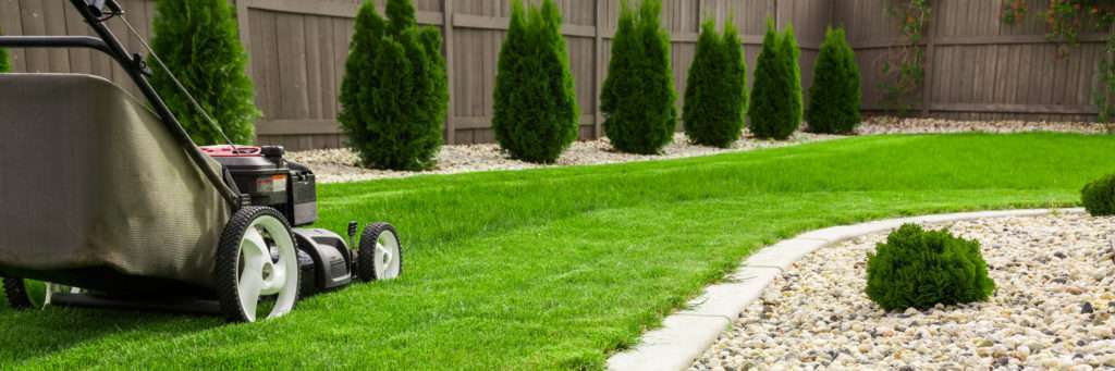 Lawn mower on green lawn