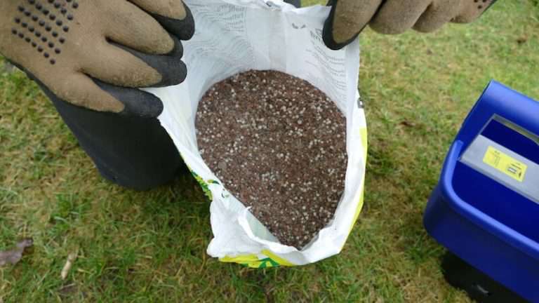 Rasendünger im Frühjahr Test 01/2024 ++ TESTSIEGER