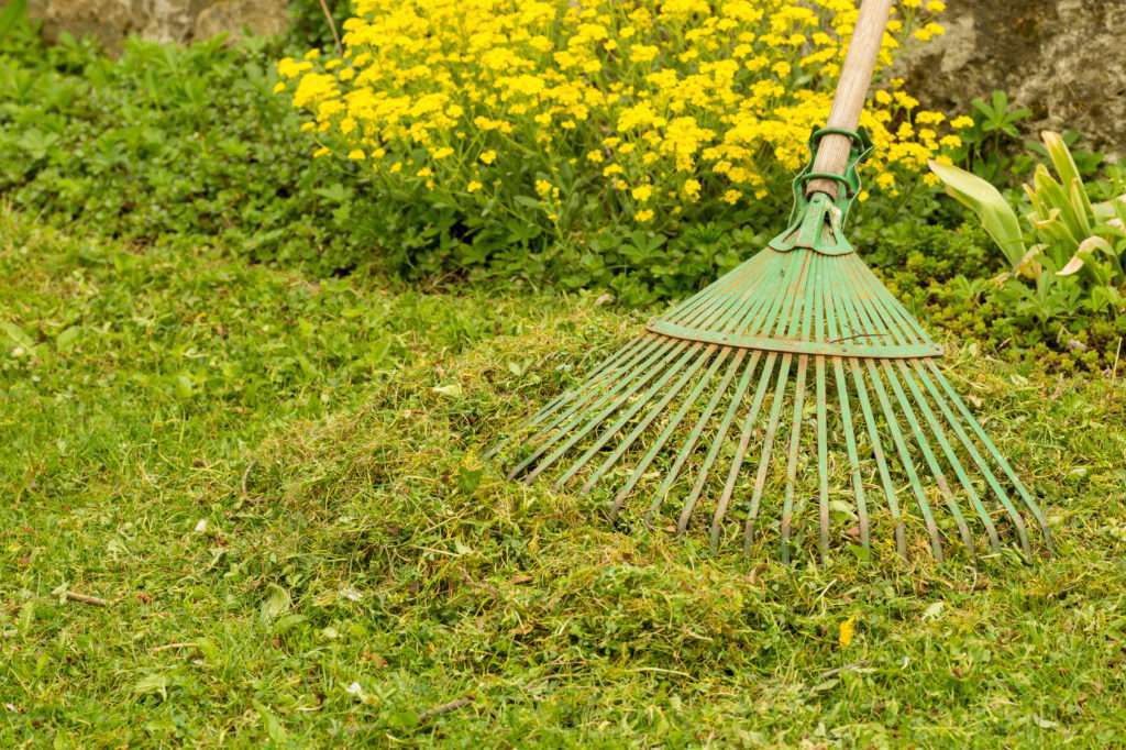 Die Rasenpflege nach dem Winter rasenduenger.de