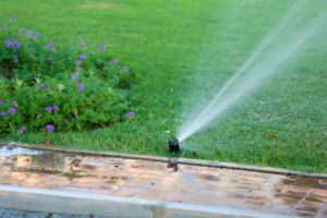 Sprinkler im Garten