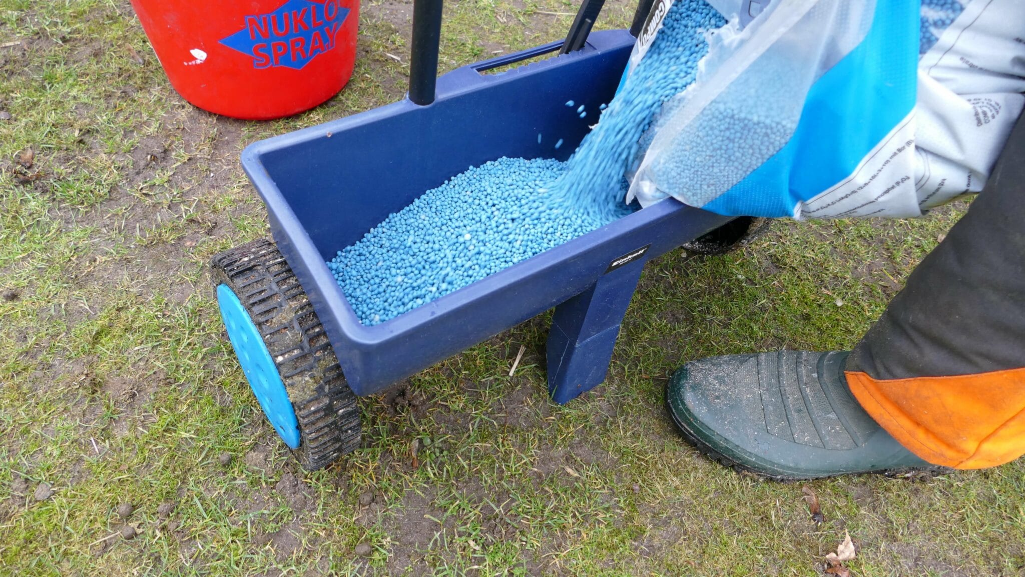 Blaukorn Rasendünger Test 2025 » Vergleich, Infos und Tipps